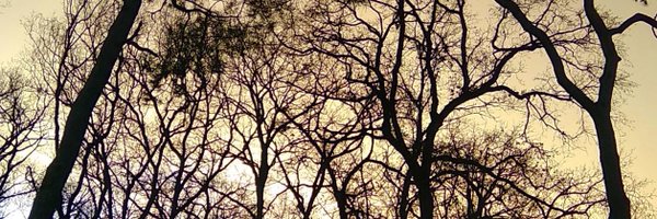 Judith_L1309 Profile Banner