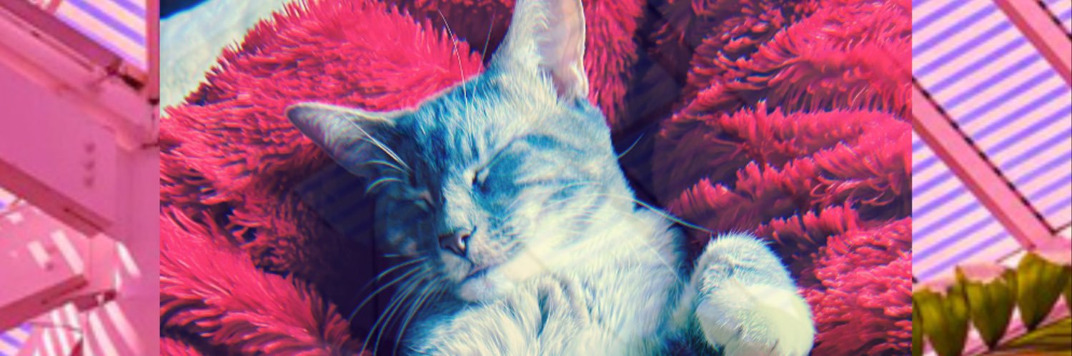 Discordia_Dog's profile banner image