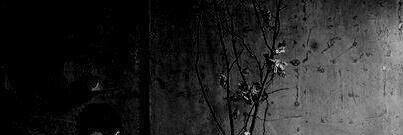 fahadao9's profile banner image