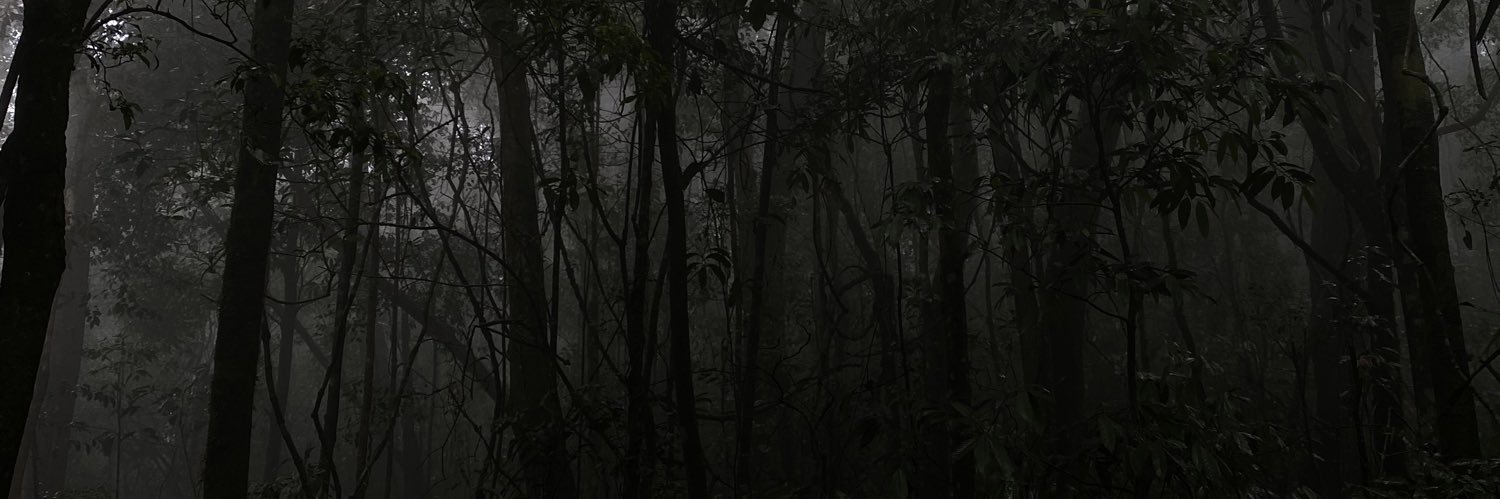 user_libriana's profile banner image