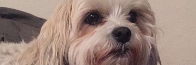 OldKingJoseph's profile banner image