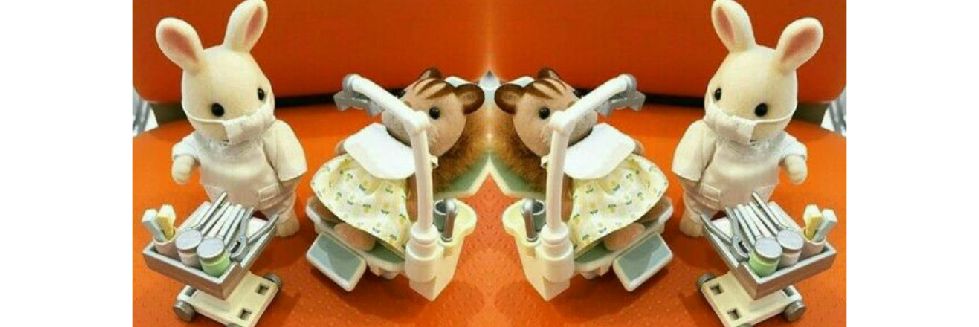 liapusparani's profile banner image