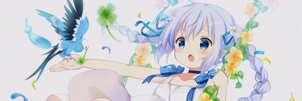 anko1010's profile banner image
