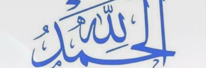 raghida_awar's profile banner image