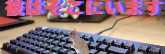Kinkynauta_'s profile banner image