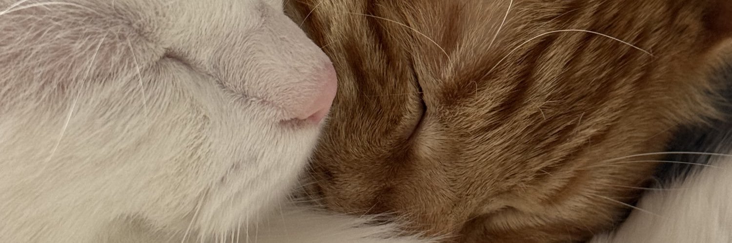 kimchismama's profile banner image