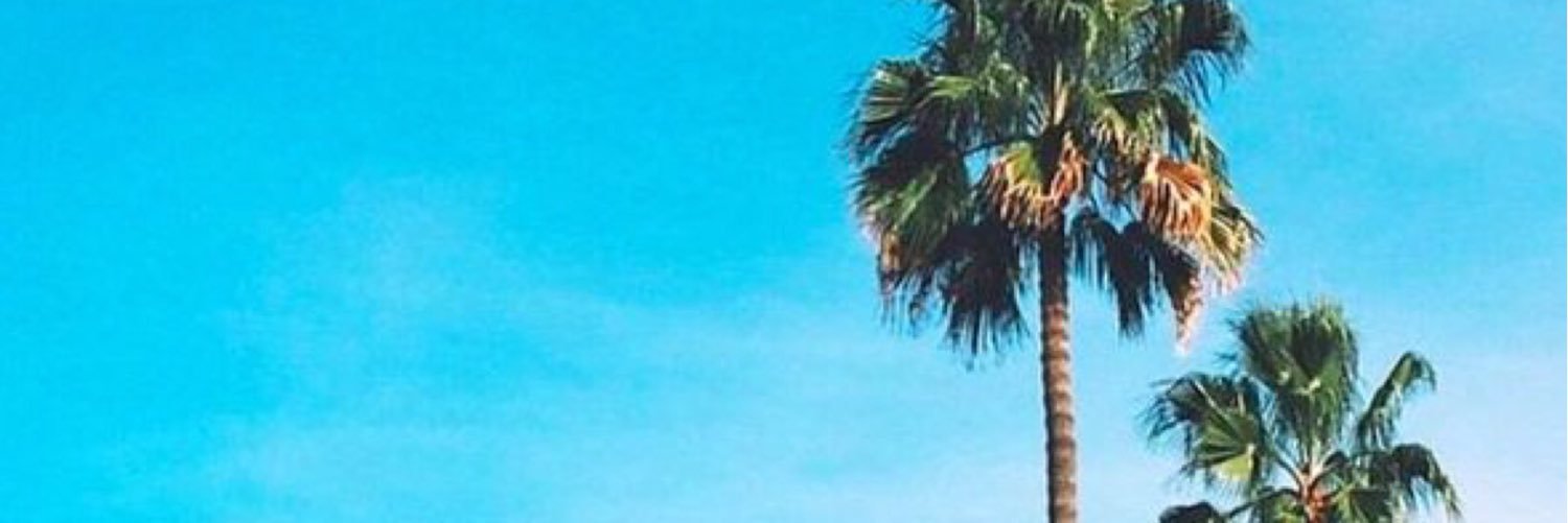 palisanchezzz's profile banner image