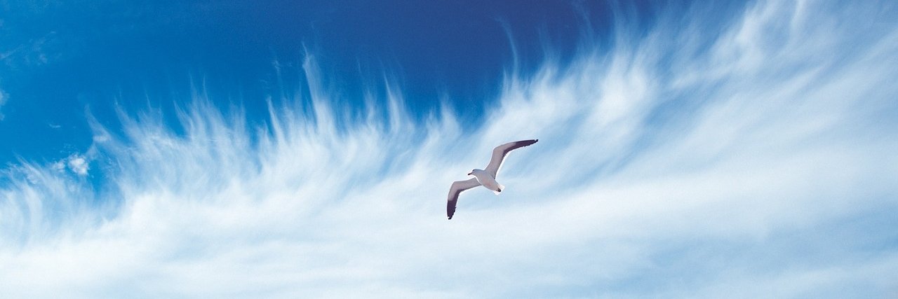 Patrice Valantin banner