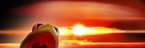 ᓚᘏᗢ😷 banner