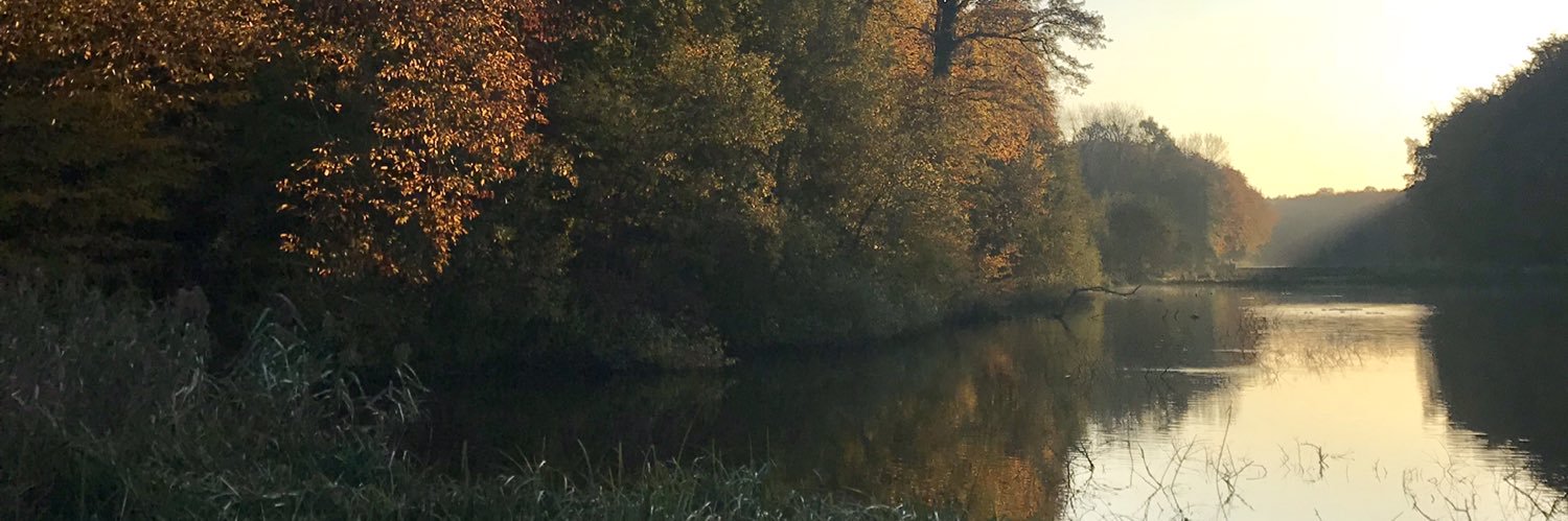 antoine de borman banner