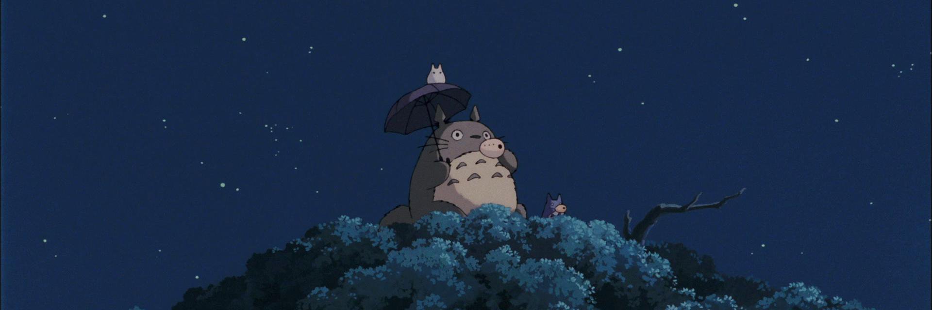 SaraBernal10's profile banner image