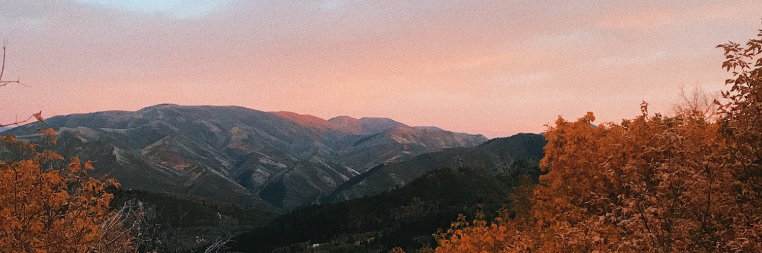 HayleyKelsch's profile banner image