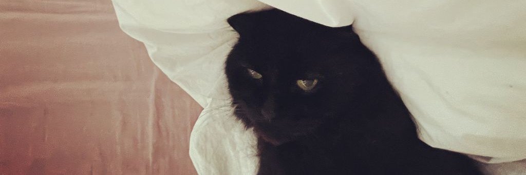 computerklaus's profile banner image