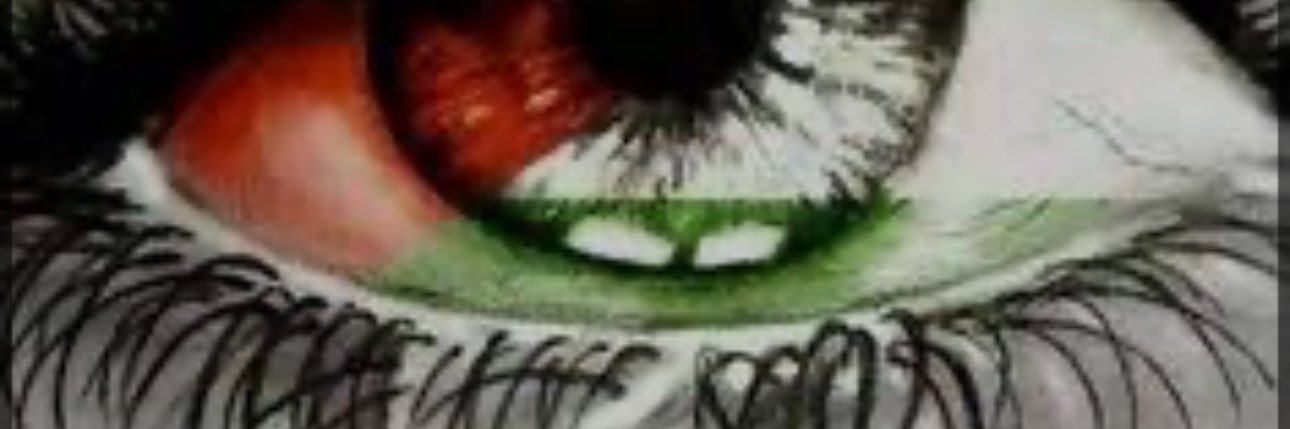 GandhiAlex's profile banner image