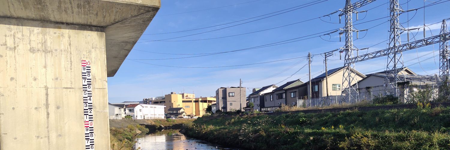 なぎにゃん / 凪猫 🍊 banner