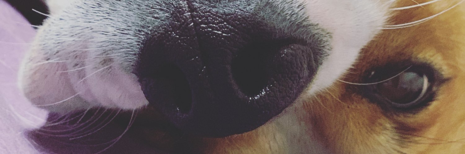 Coco banner
