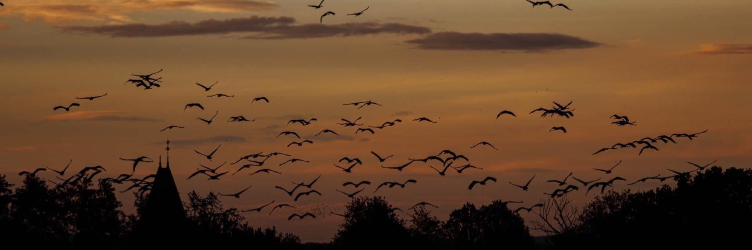 Alexandre HURSON banner