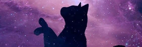 MFarinon's profile banner image