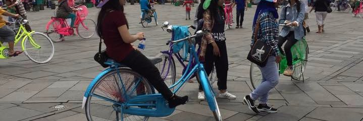 Lee-Ann Fenge banner