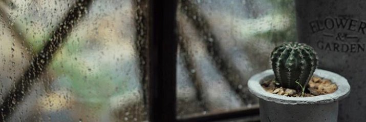 su_Sukie's profile banner image