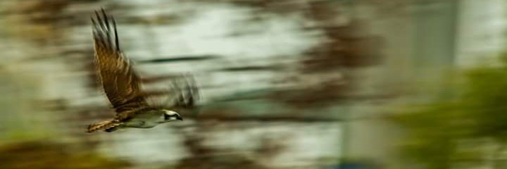 benjamin1088's profile banner image