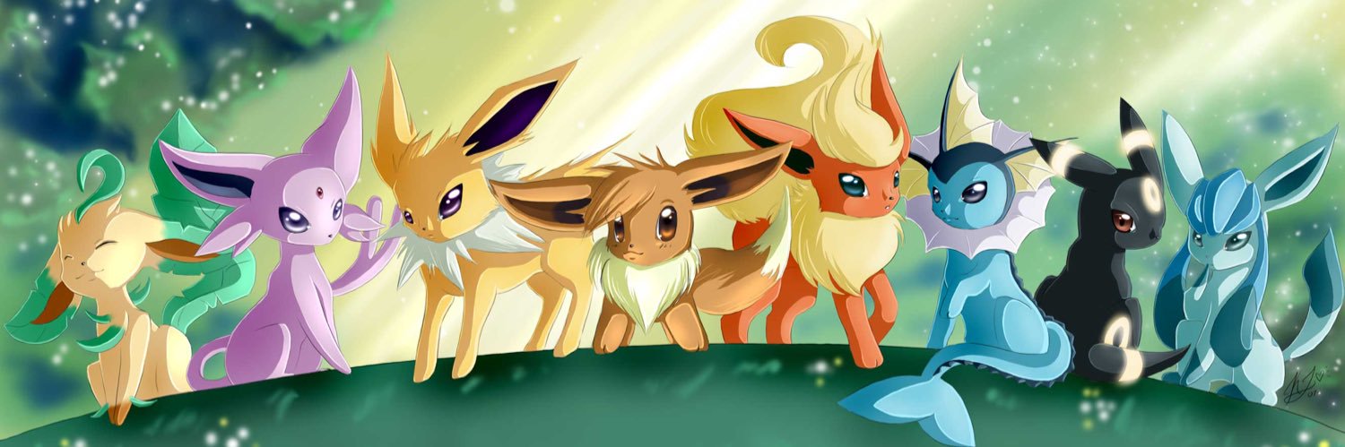 Ryann Vaughan banner