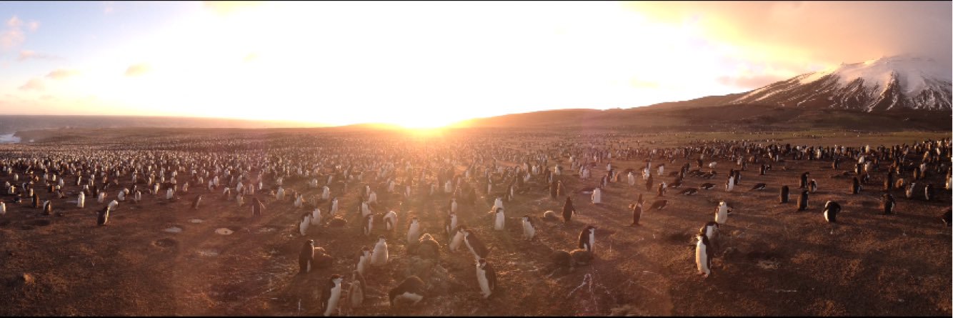 MaxHugWilliams's profile banner image