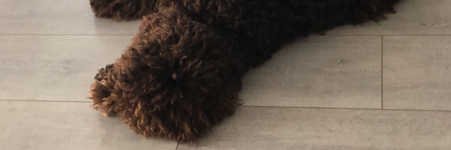 Pablo banner