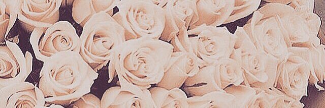 Savannah_Jay's profile banner image