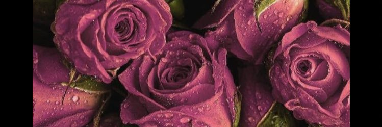 KuotSandy's profile banner image