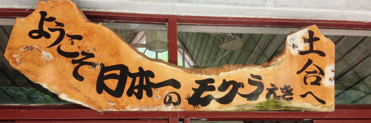 satomidesu1's profile banner image