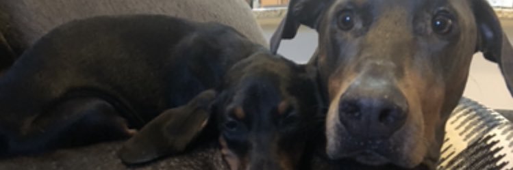 TimLynch26's profile banner image