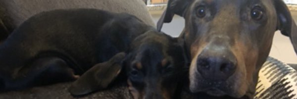 TimLynch26 Profile Banner