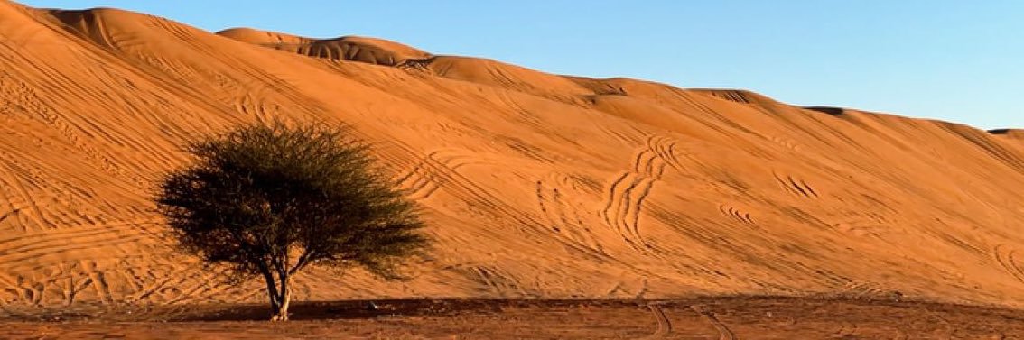 alsaadi_00's profile banner image