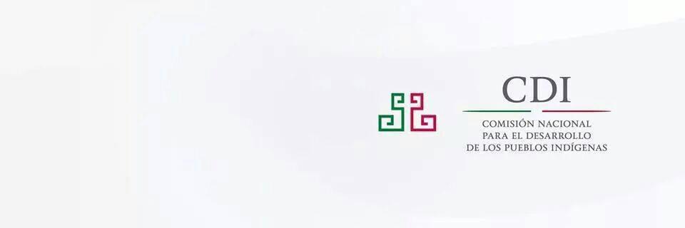 RogelioAzuara's profile banner image