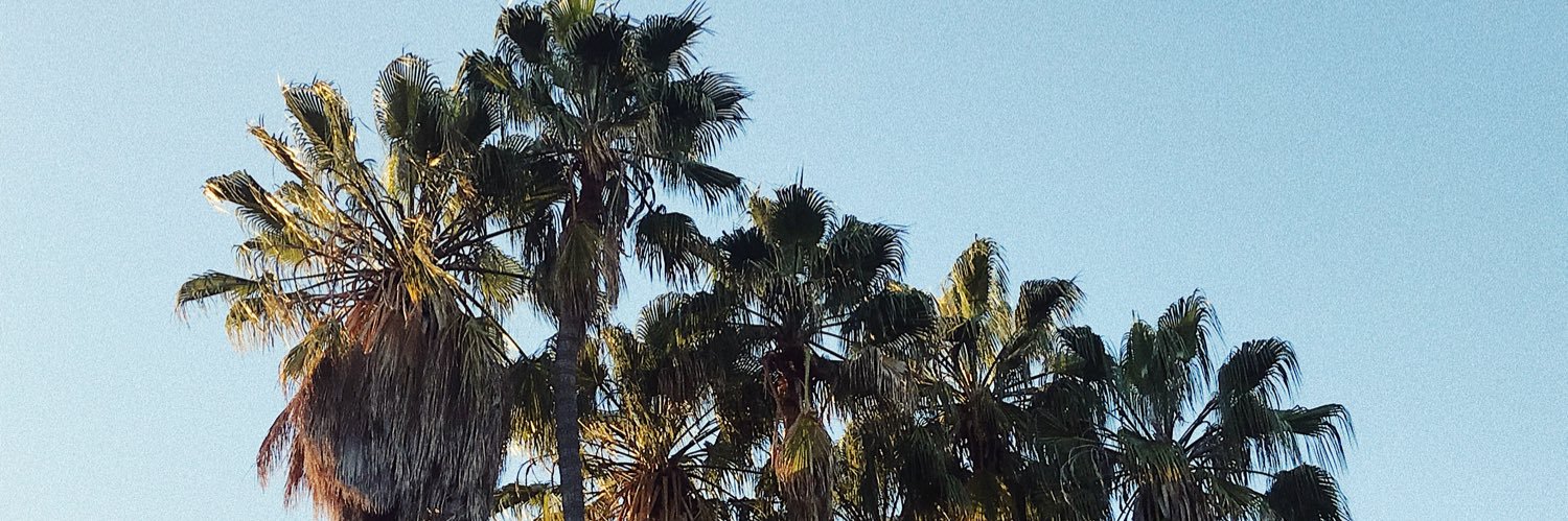 erica lowder-craddock banner