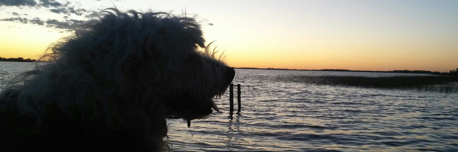 FloorTieri's profile banner image