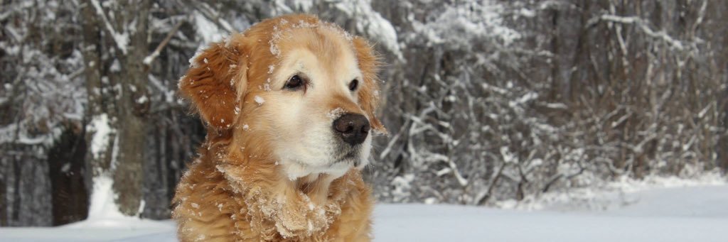 EmilyAtyeo's profile banner image