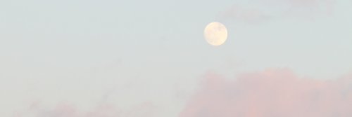 Sunny banner