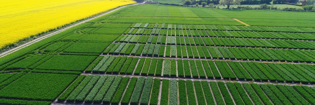 Seed Technology Ltd banner