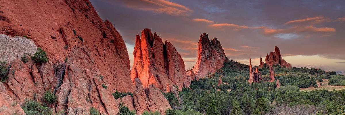 Aaron Stachel banner