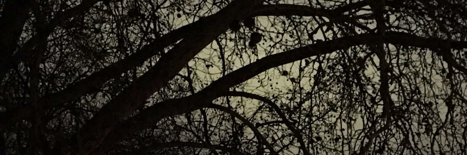 Sleepy297's profile banner image