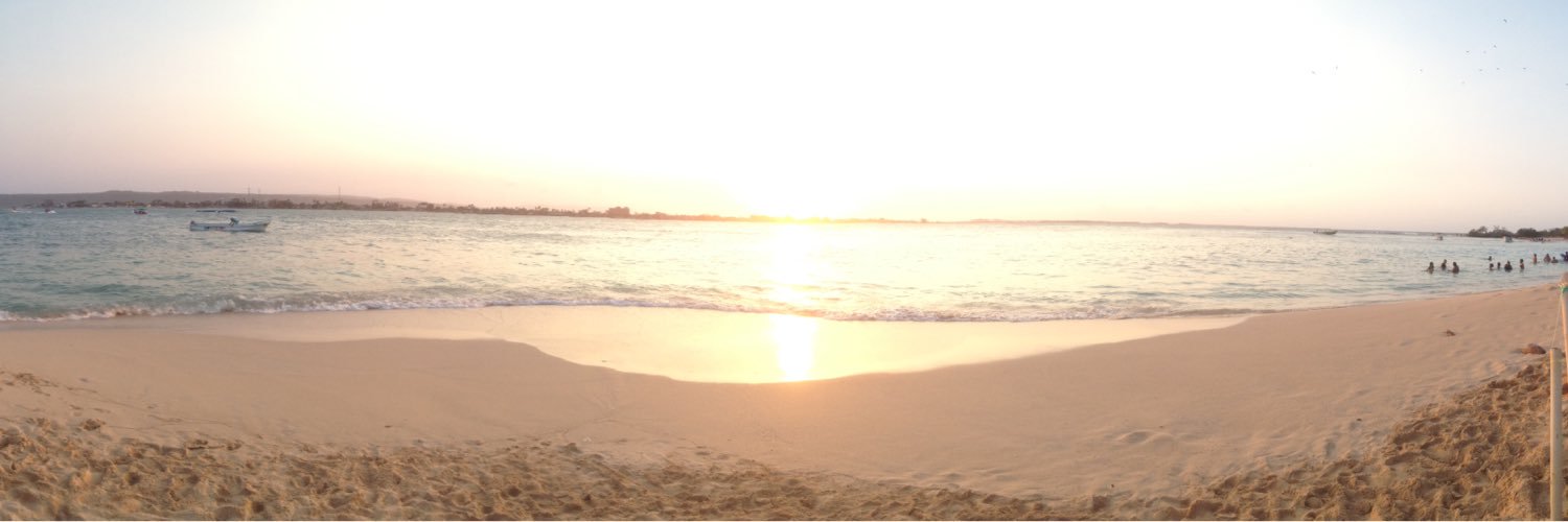 Olimar_29's profile banner image