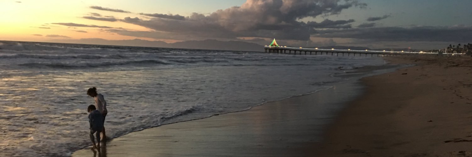 shellyamalone's profile banner image