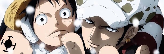 Trafalgar D. Law banner