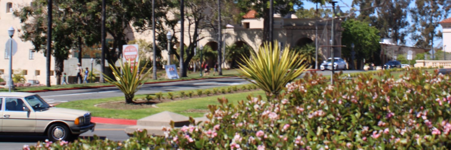 casseashore's profile banner image