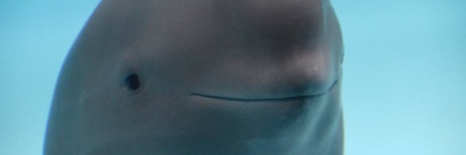 Mario2014's profile banner image