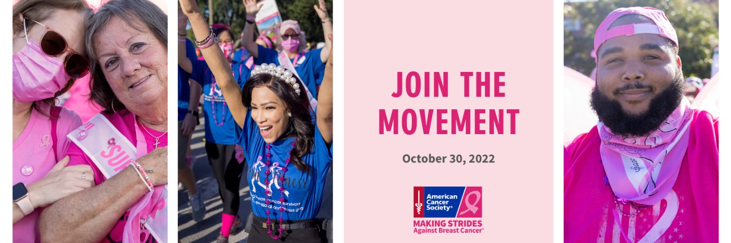 Making Strides banner