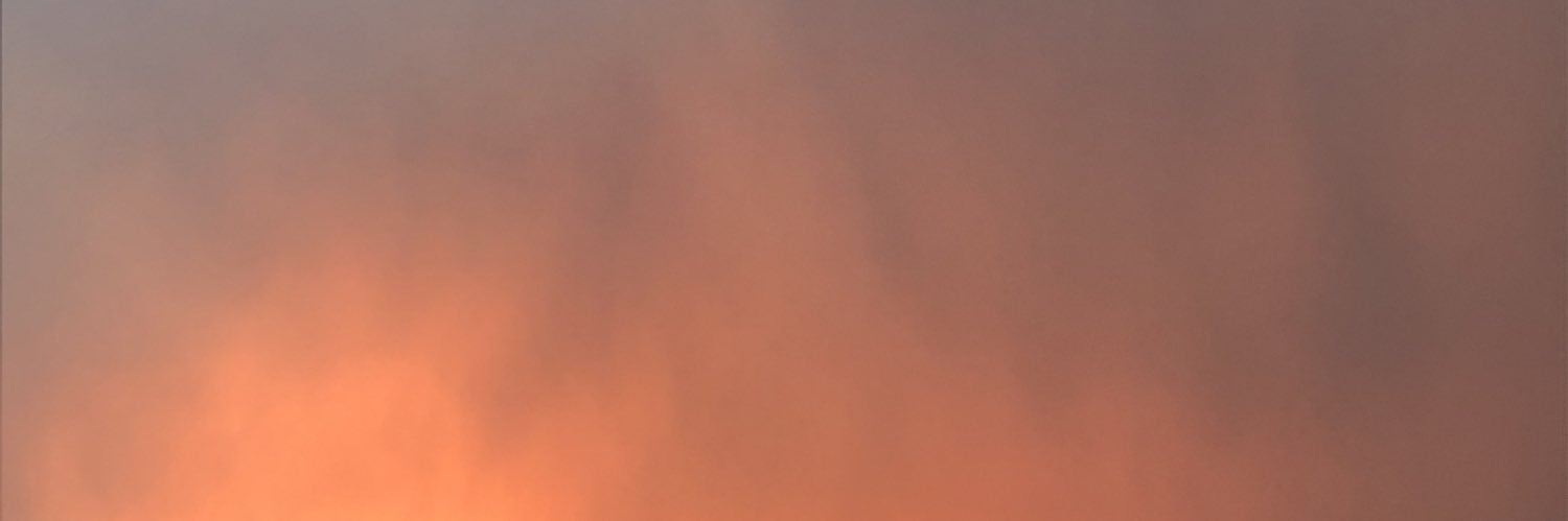 bichodelixo's profile banner image