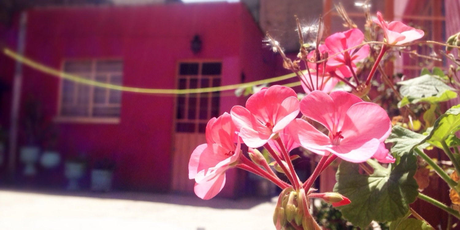 webnovelasweb's profile banner image